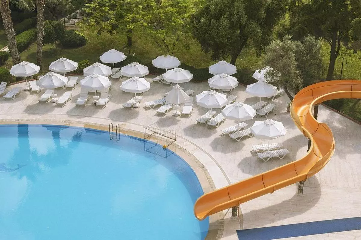 158900384 (Copy).jpg